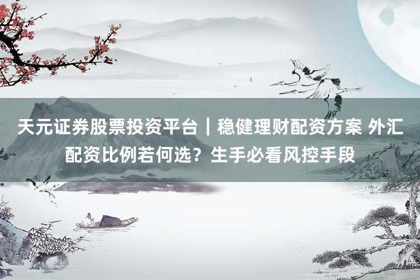天元证券股票投资平台｜稳健理财配资方案 外汇配资比例若何选？生手必看风控手段