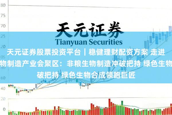 天元证券股票投资平台｜稳健理财配资方案 走进昌平区合成生物制造产业会聚区：非粮生物制造冲破把持 绿色生物合成领跑巨匠